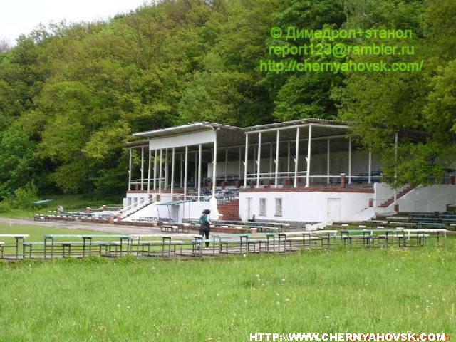 gallery_33_26_58562.jpg