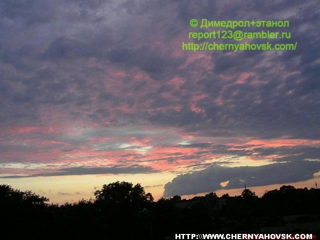 gallery_33_26_90616.jpg
