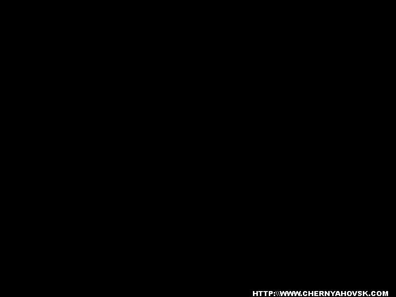 gallery_71_48_176901.jpg