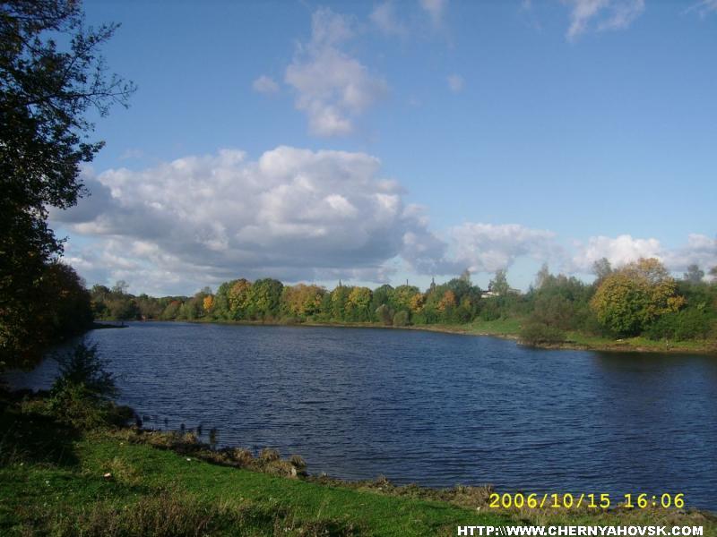 gallery_71_41_173105.jpg