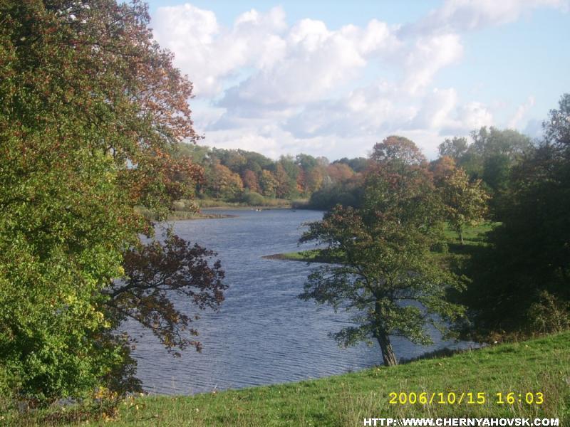 gallery_71_41_185806.jpg