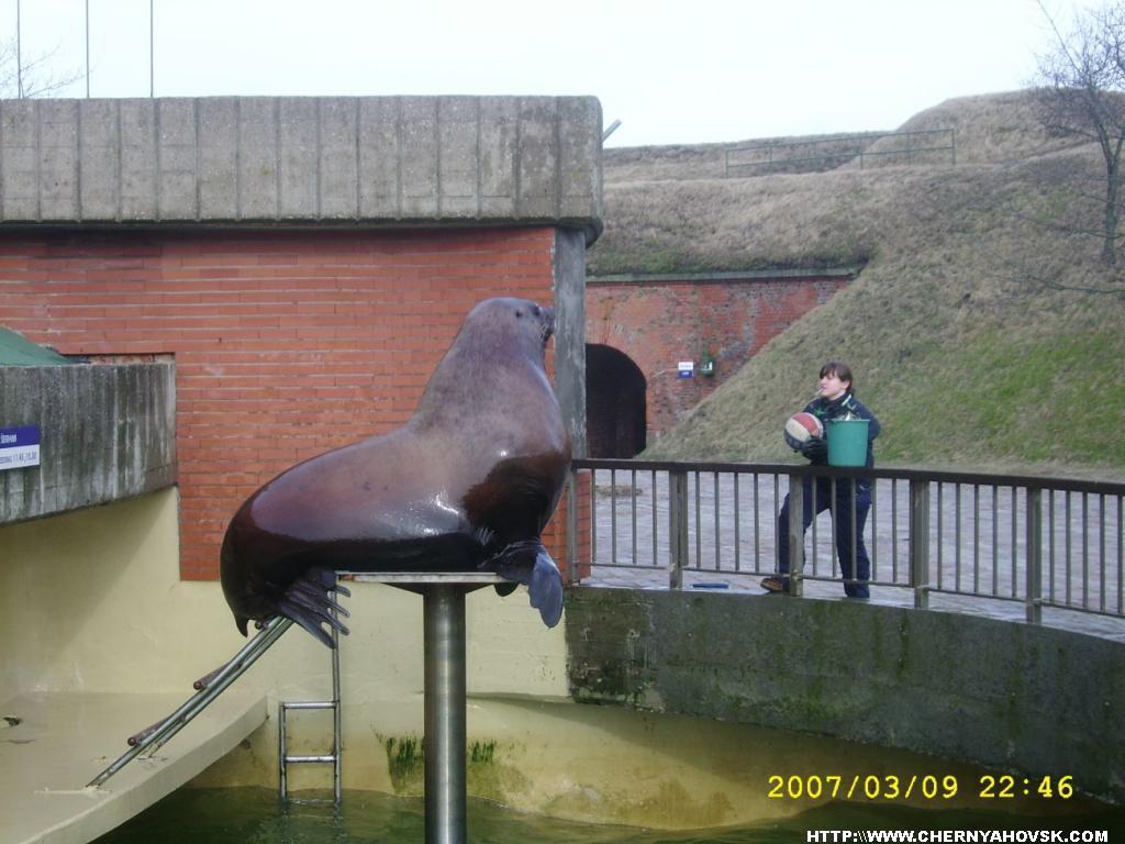 gallery_71_87_116315.jpg