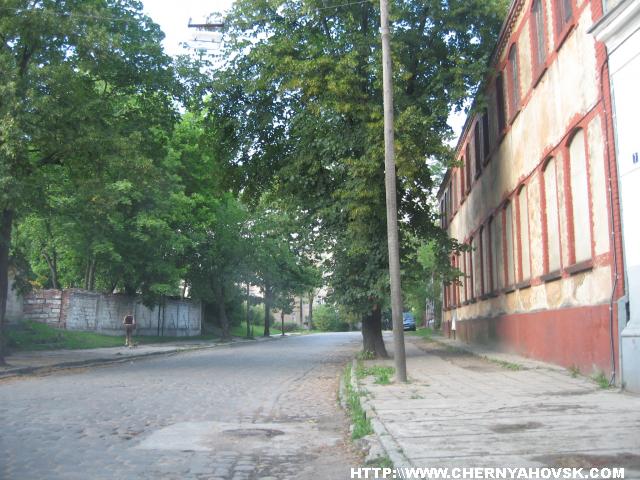 gallery_1412_112_255654.jpg