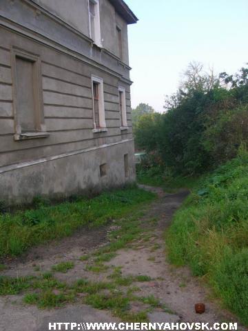gallery_1_120_66467.jpg