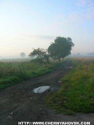 gallery_1_120_27945.jpg