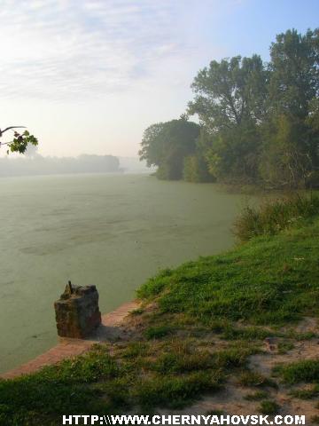 gallery_1_120_53604.jpg