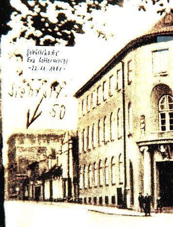 gallery_188_17_19400.jpg