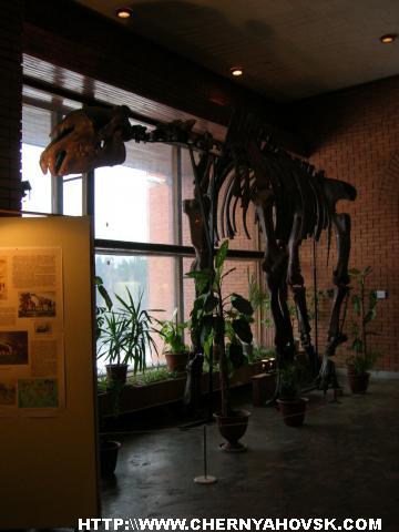 gallery_1_136_766924.jpg
