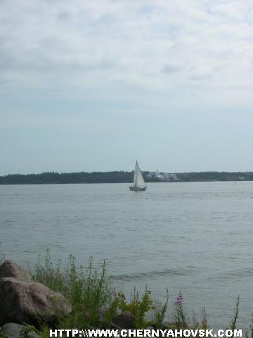 gallery_1_170_863019.jpg
