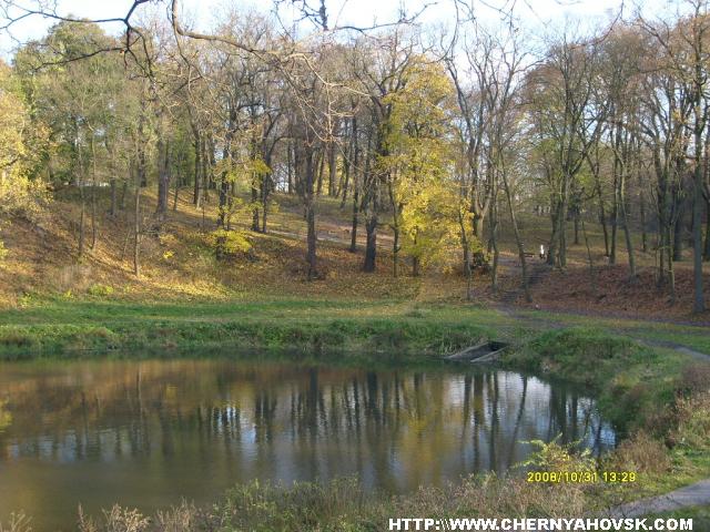 gallery_2163_176_367288.jpg
