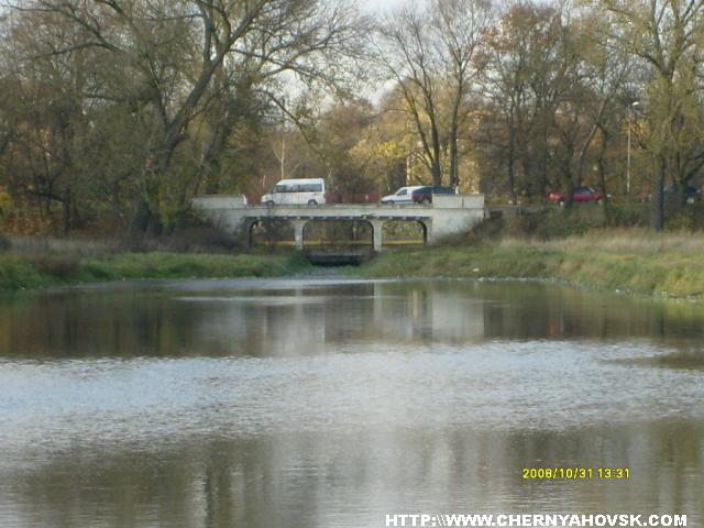 gallery_2163_176_381643.jpg