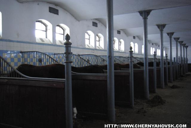 gallery_1_187_266555.jpg