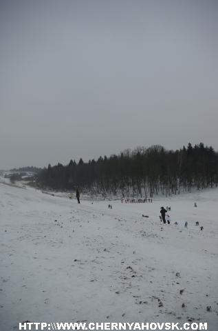 gallery_1_188_295775.jpg