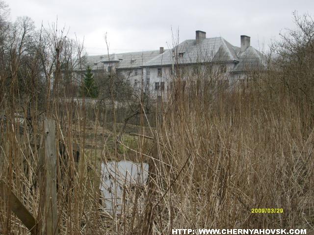 gallery_2163_175_407828.jpg