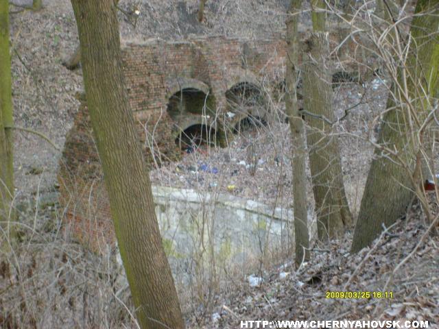 gallery_2163_176_21811.jpg