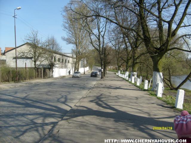 gallery_2163_175_185254.jpg