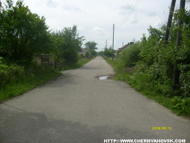 gallery_2163_175_148160.jpg