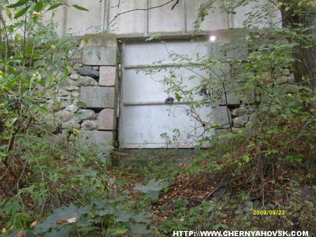 gallery_2163_199_312846.jpg