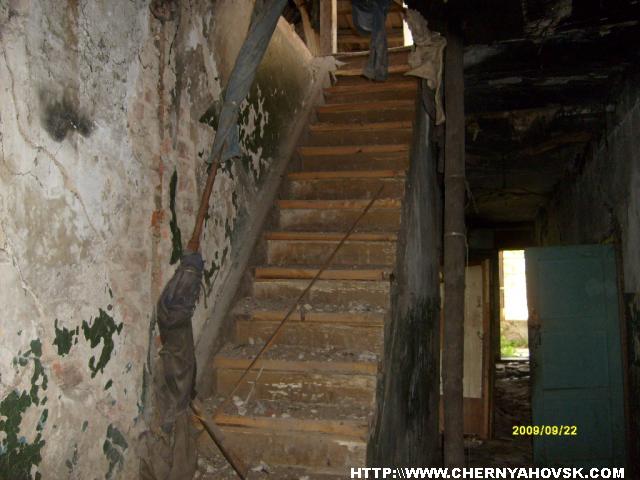 gallery_2163_199_332963.jpg