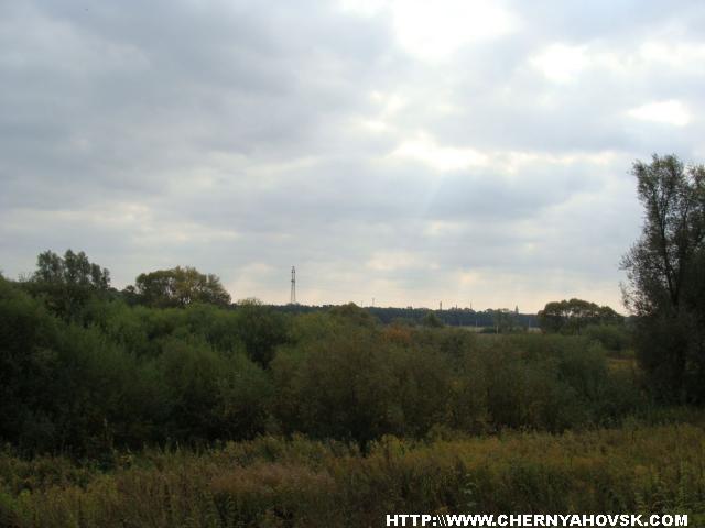 gallery_1233_207_111822.jpg