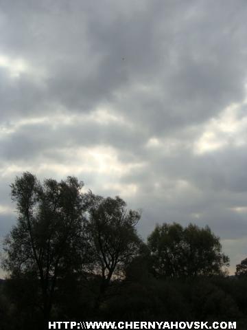 gallery_1233_207_136262.jpg