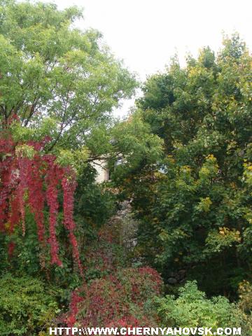 gallery_1233_207_383136.jpg