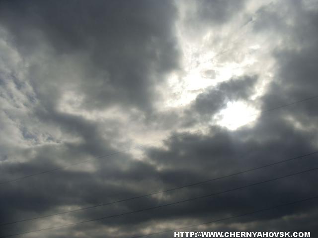 gallery_1233_207_54096.jpg