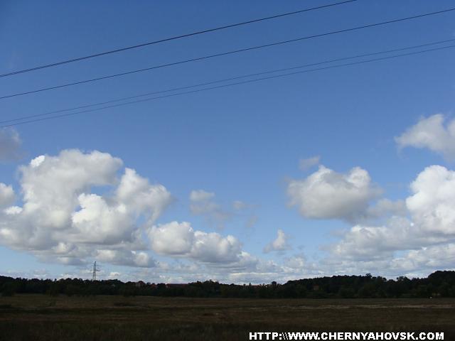 gallery_1233_207_90459.jpg
