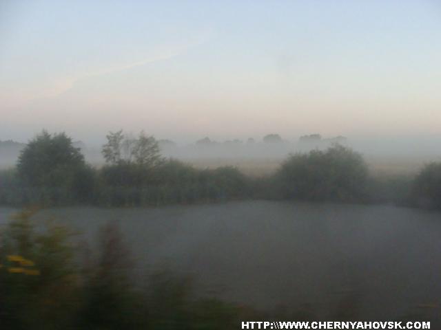 gallery_1233_208_54163.jpg