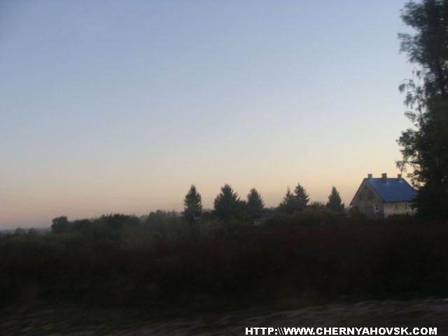 gallery_1233_208_85705.jpg