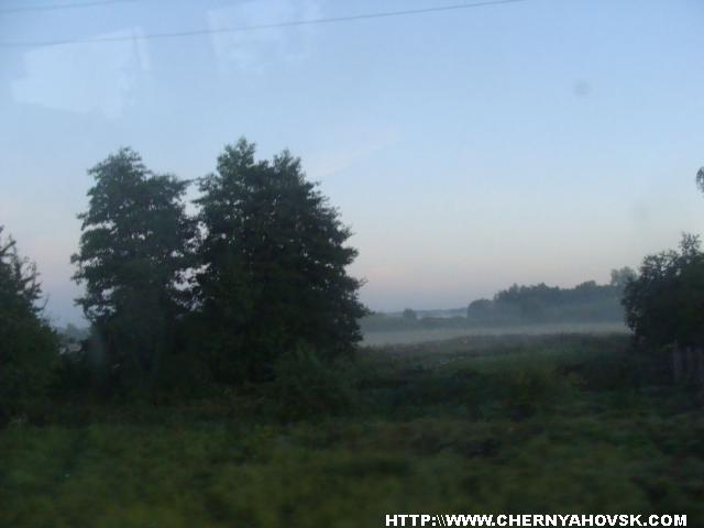 gallery_1233_208_95452.jpg