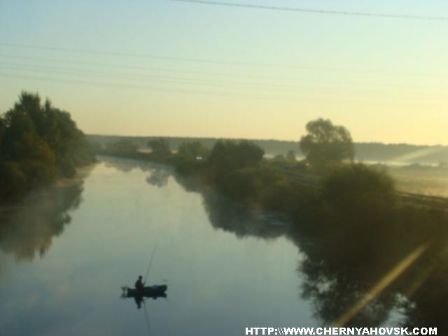 gallery_1233_208_1159.jpg
