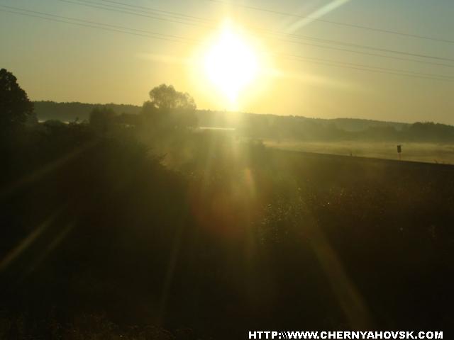 gallery_1233_208_57411.jpg