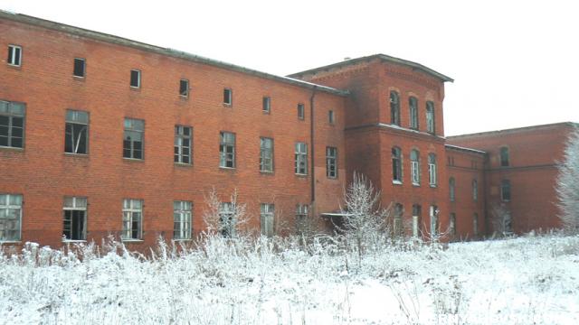 gallery_1586_209_144706.jpg