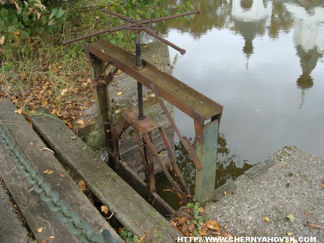 gallery_1233_210_1135649.jpg