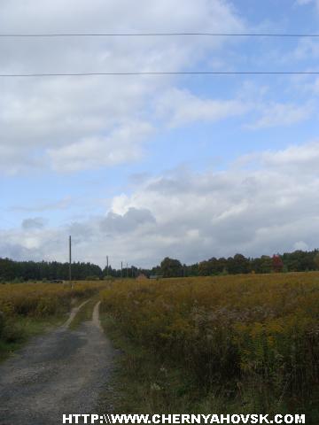 gallery_1233_210_980082.jpg