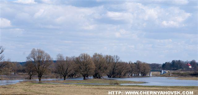 gallery_2838_227_3020.jpg