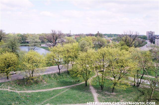gallery_2838_227_79558.jpg