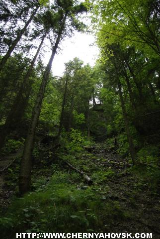 gallery_1_234_257039.jpg