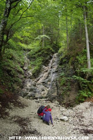 gallery_1_234_316795.jpg